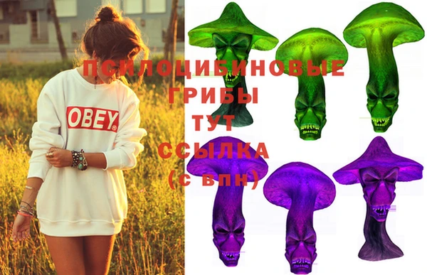 спайс Алексеевка